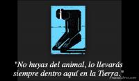 El miedo como gua, Ana M. Perea