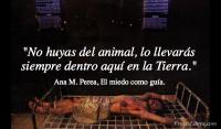 El miedo como gua, Ana M. Perea