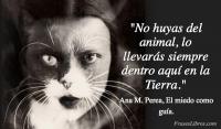 El miedo como gua, Ana M. Perea