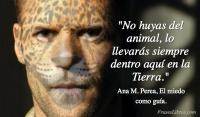 El miedo como gua, Ana M. Perea