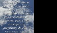 El Principito, Antoine de Saint-Exupry