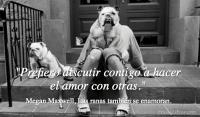 Las ranas tambin se enamoran, Megan Maxwell