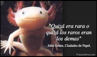 Ciudades de Papel, John Green