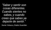 Diablo Guardin , Xavier Velasco