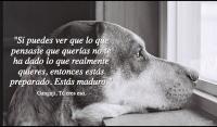 T eres eso, Gangaji