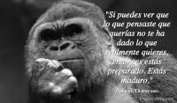 T eres eso, Gangaji