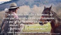 Perdona pero quiero casarme contigo, Federico Moccia
