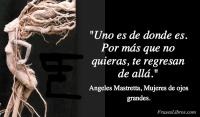 Mujeres de ojos grandes, Angeles Mastretta