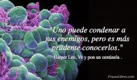 Ve y pon un centinela , Harper Lee