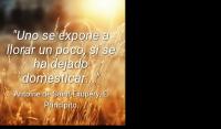 El Principito, Antoine de Saint-Exupry
