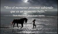 Hacia la paz interior, Thich Nhat Hanh