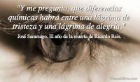 El ao de la muerte de Ricardo Reis, Jos Saramago