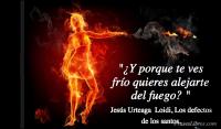 Los defectos de los santos, Jess Urteaga  Loidi