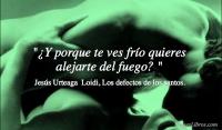 Los defectos de los santos, Jess Urteaga  Loidi
