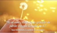 La seora de los sueos, Sara Sefchovich
