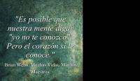 Muchas Vidas, Muchos Maestros, Brian Weiss
