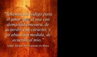 El Cuaderno de Maya, Isabel Allende