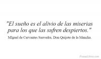 Don Quijote de la Mancha, MIguel de Cervantes Saavedra